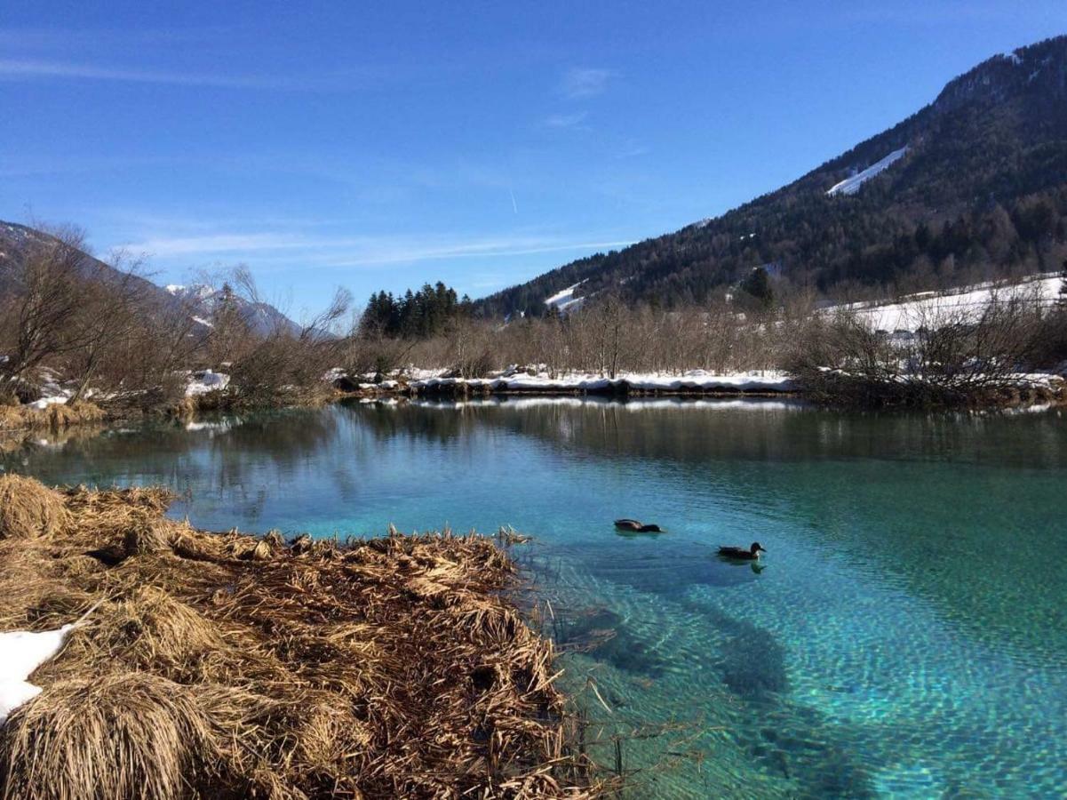 Outstanding Lake View. 크라니스카고라 외부 사진